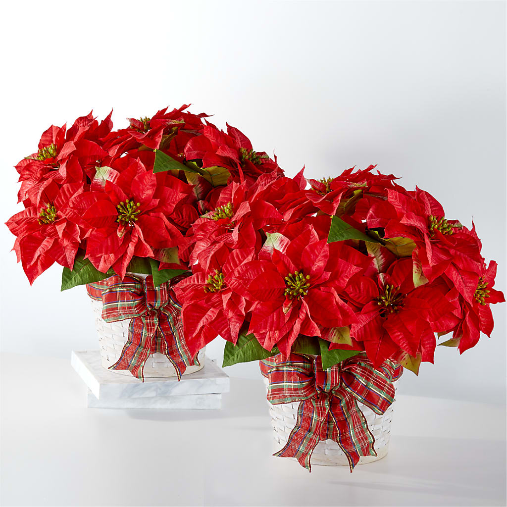 Happiest Holidays Poinsettia Bundle – Lulus Petals, Farmington NM