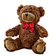 Adorable Plush Bear – Lulus Petals, Farmington NM