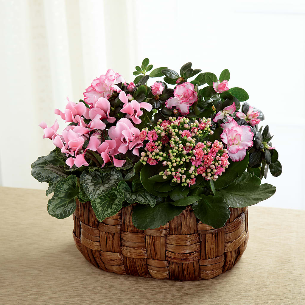 Pink Assortment – Lulus Petals, Farmington NM
