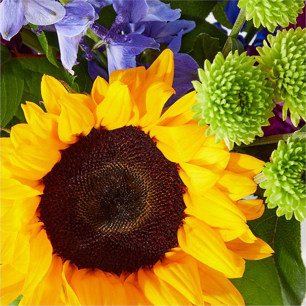 Catching Rays Bouquet – Lulus Petals, Farmington NM