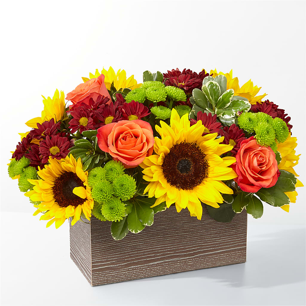 Happy Harvest Garden – Lulus Petals, Farmington NM