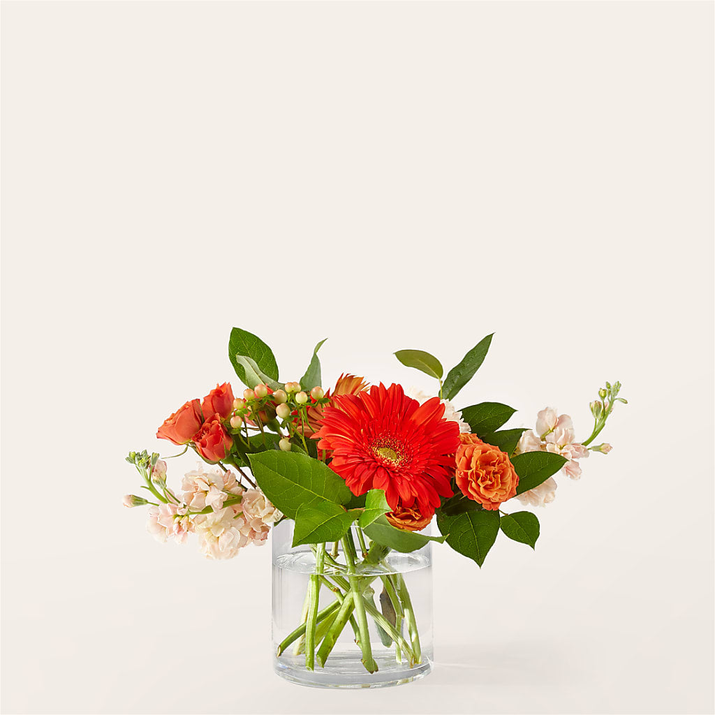 Paloma Please Bouquet – Lulus Petals, Farmington NM