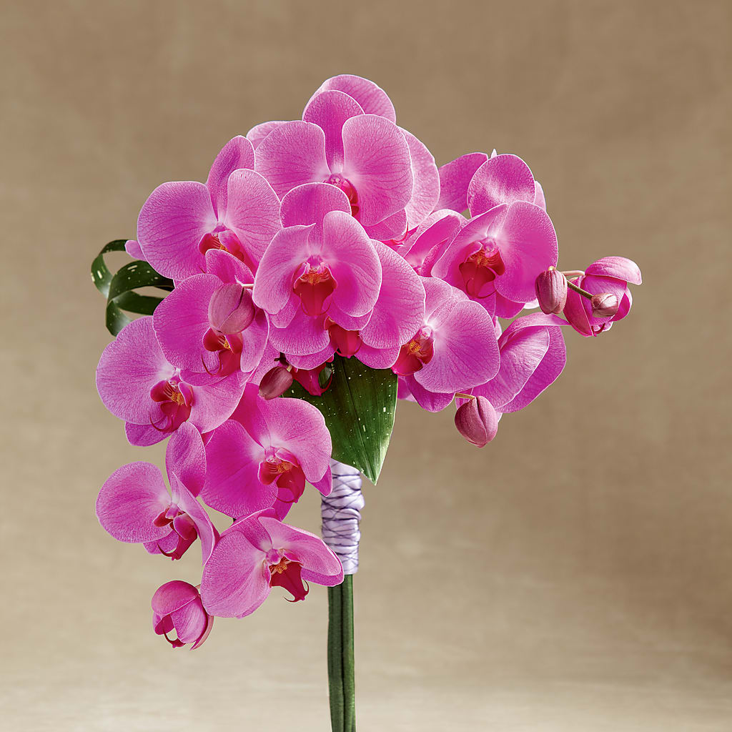 Glorious Bouquet – Lulus Petals, Farmington NM
