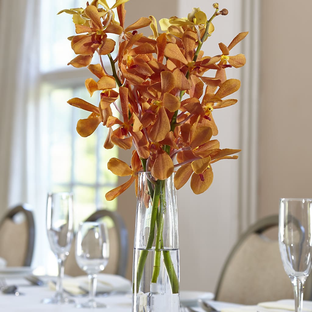 Orange Mokara Bud Vase – Lulus Petals, Farmington NM