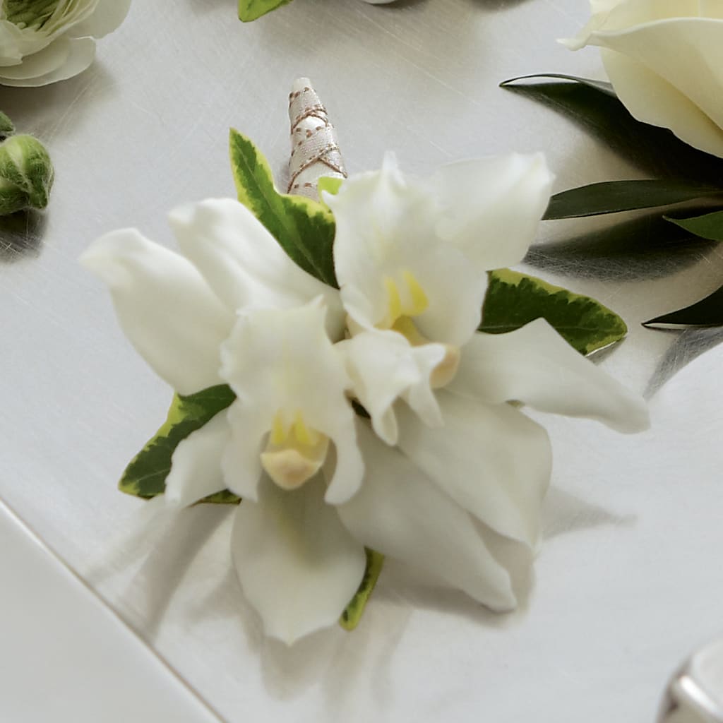 White Mini Cymbidium Boutonniere – Lulus Petals, Farmington NM