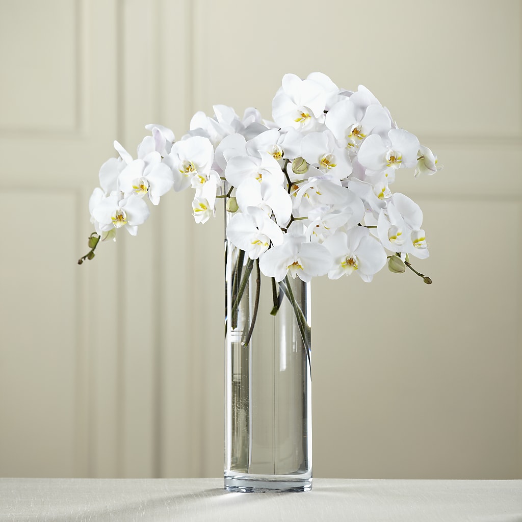 White Phalaenopsis Bouquet – Lulus Petals, Farmington NM
