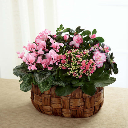 Pink Assortment –  Lulus Petals, Farmington NM