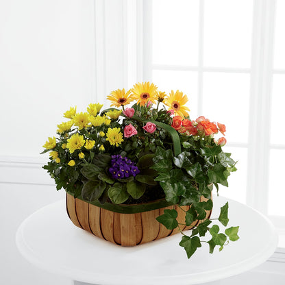 Gentle Blossoms Basket –  Lulus Petals, Farmington NM