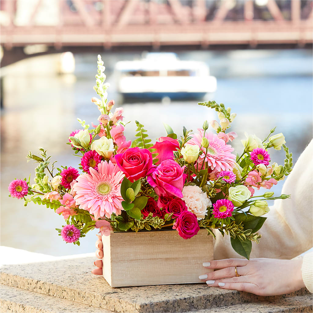 Too Cute Bouquet –  Lulus Petals, Farmington NM