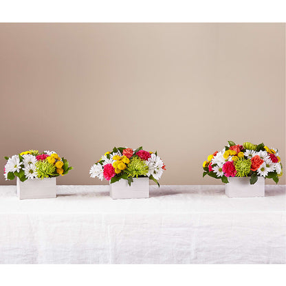 Sorbet Bouquet –  Lulus Petals, Farmington NM
