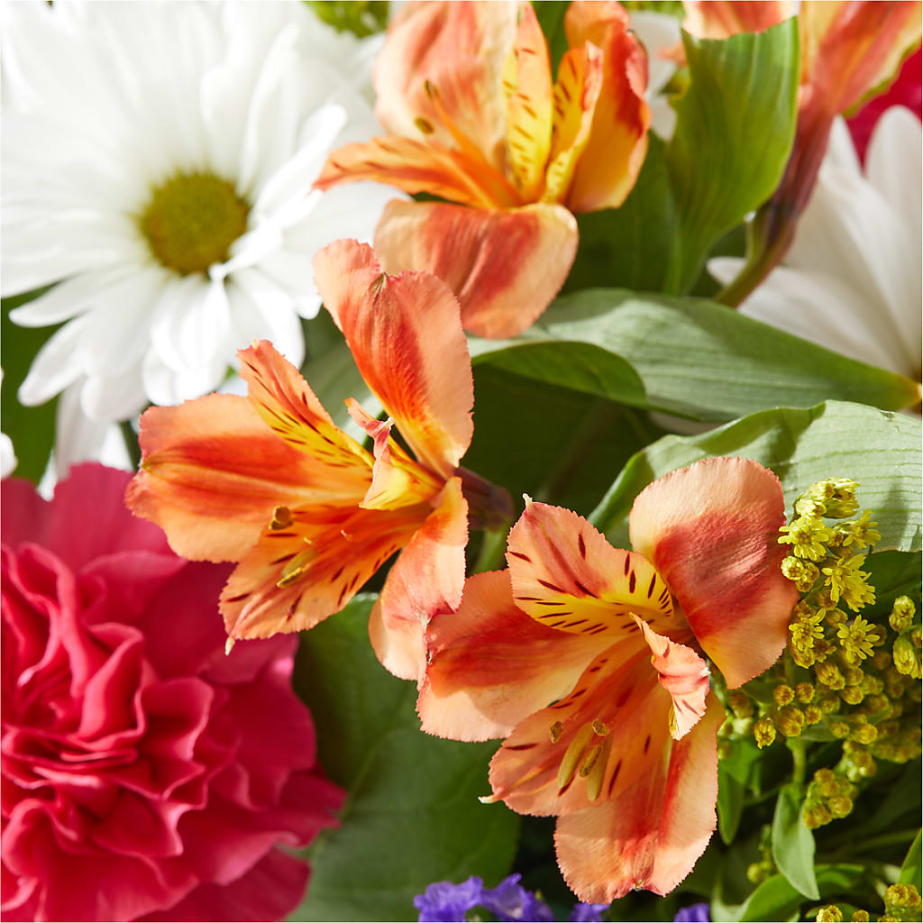 Oopsie Daisy Box Bouquet –  Lulus Petals, Farmington NM