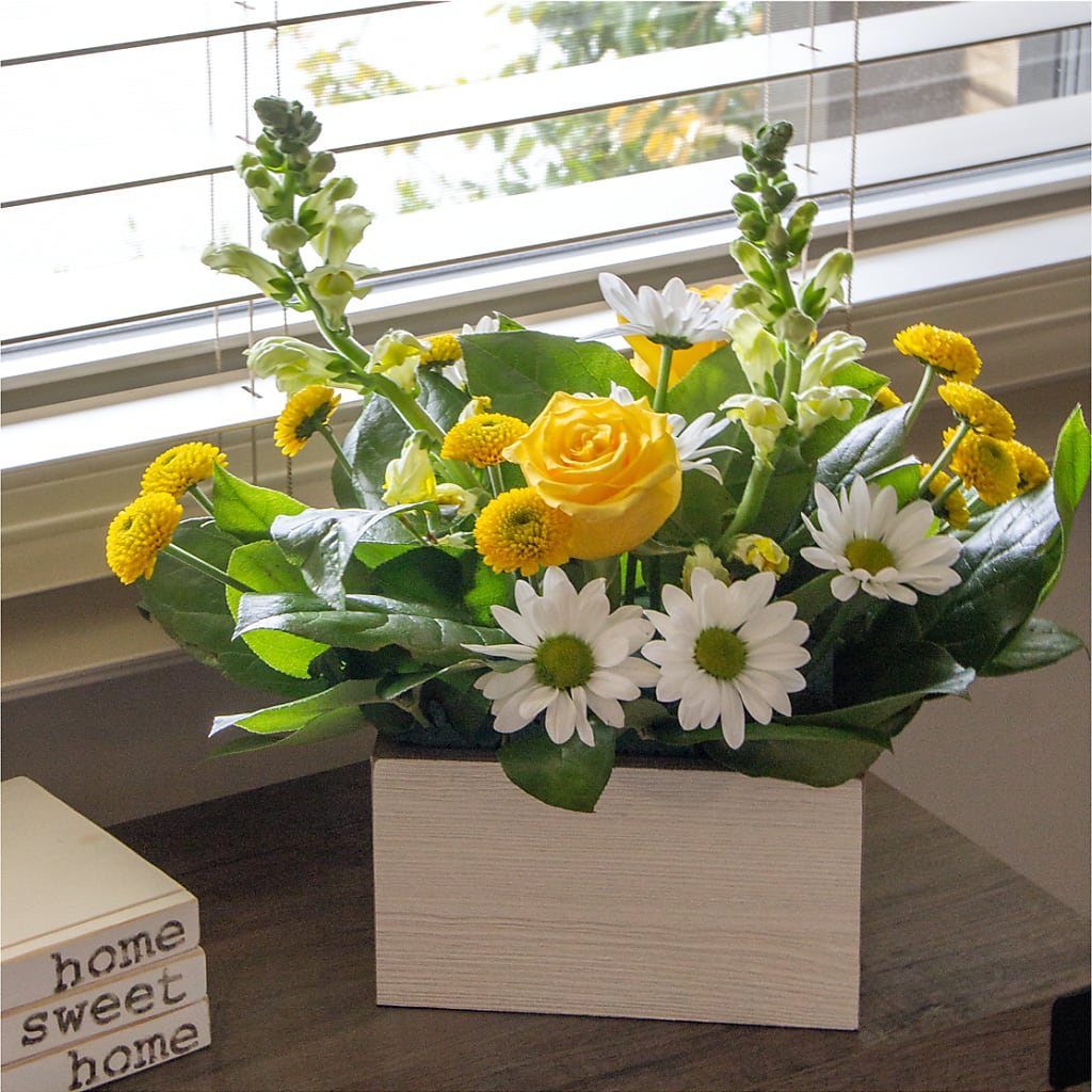 Sun Salutation Box Bouquet –  Lulus Petals, Farmington NM