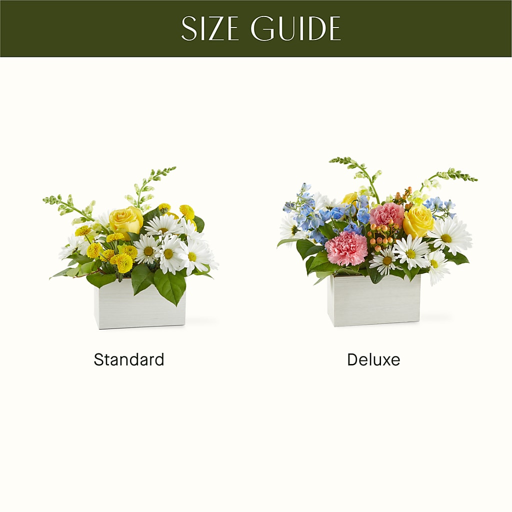 Sun Salutation Box Bouquet –  Lulus Petals, Farmington NM