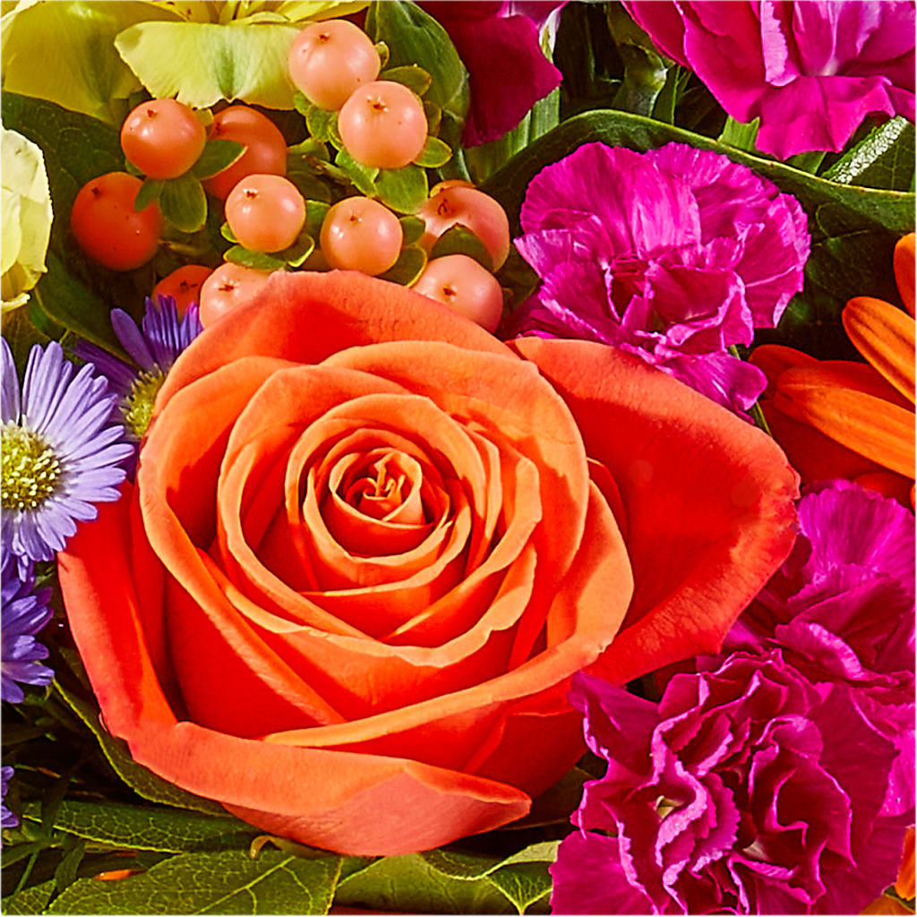 Tricks & Treats Pumpkin –  Lulus Petals, Farmington NM