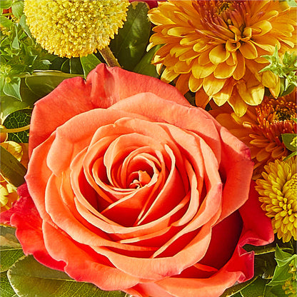 Gourdgeous Pumpkin –  Lulus Petals, Farmington NM