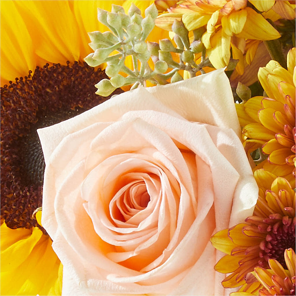 Pumpkin to Talk About Bouquet –  Lulus Petals, Farmington NM