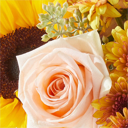 Pumpkin to Talk About Bouquet –  Lulus Petals, Farmington NM