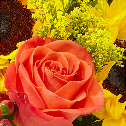 Pick of the Patch Pumpkin Bouquet –  Lulus Petals, Farmington NM
