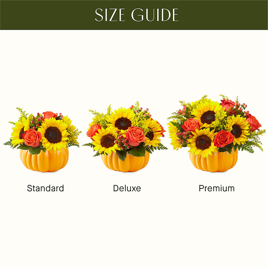Pick of the Patch Pumpkin Bouquet –  Lulus Petals, Farmington NM
