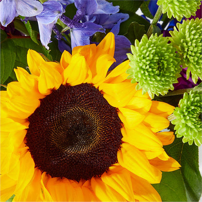 Catching Rays Bouquet –  Lulus Petals, Farmington NM