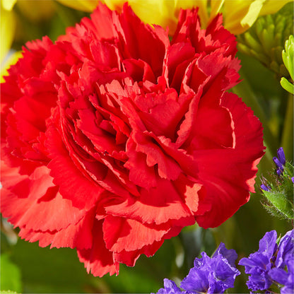 Brighter Days Bouquet –  Lulus Petals, Farmington NM