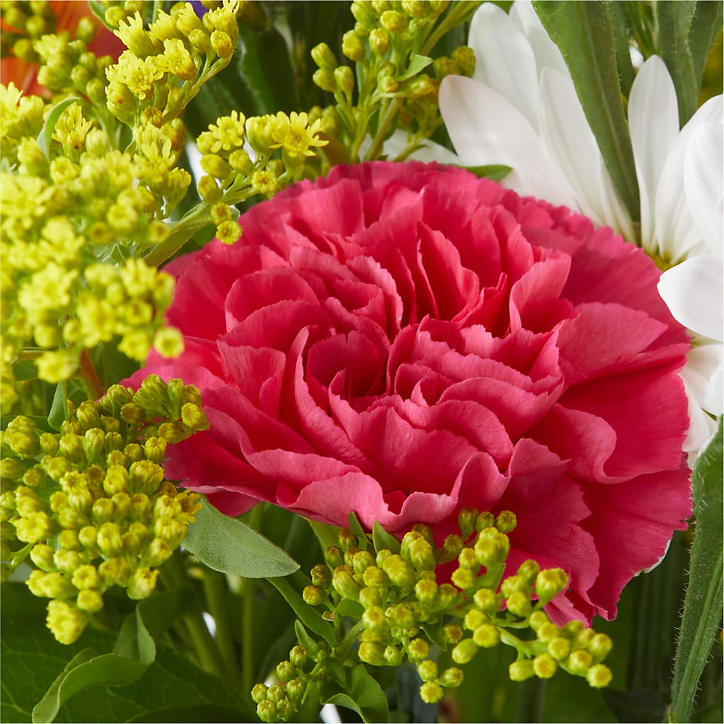 Oopsie Daisy Bouquet –  Lulus Petals, Farmington NM