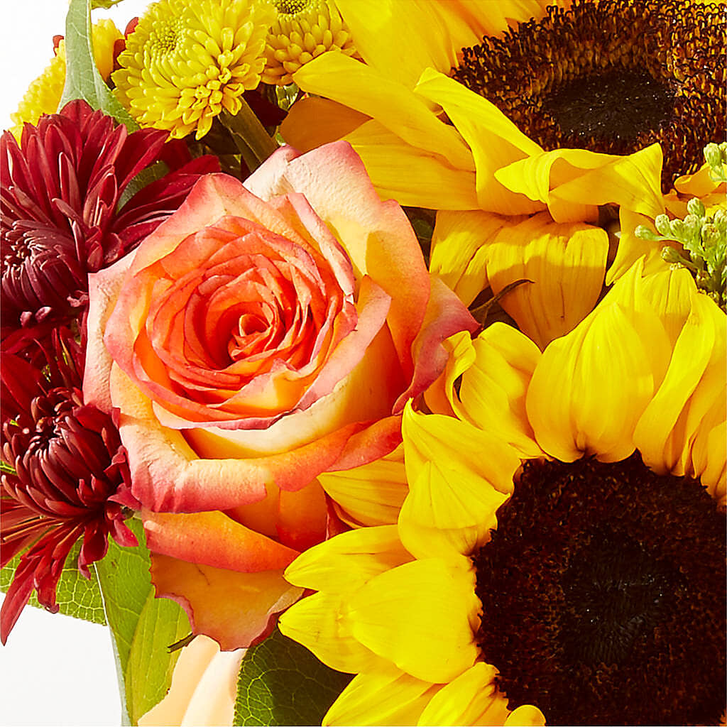 Golden Gourd Pumpkin Bouquet –  Lulus Petals, Farmington NM