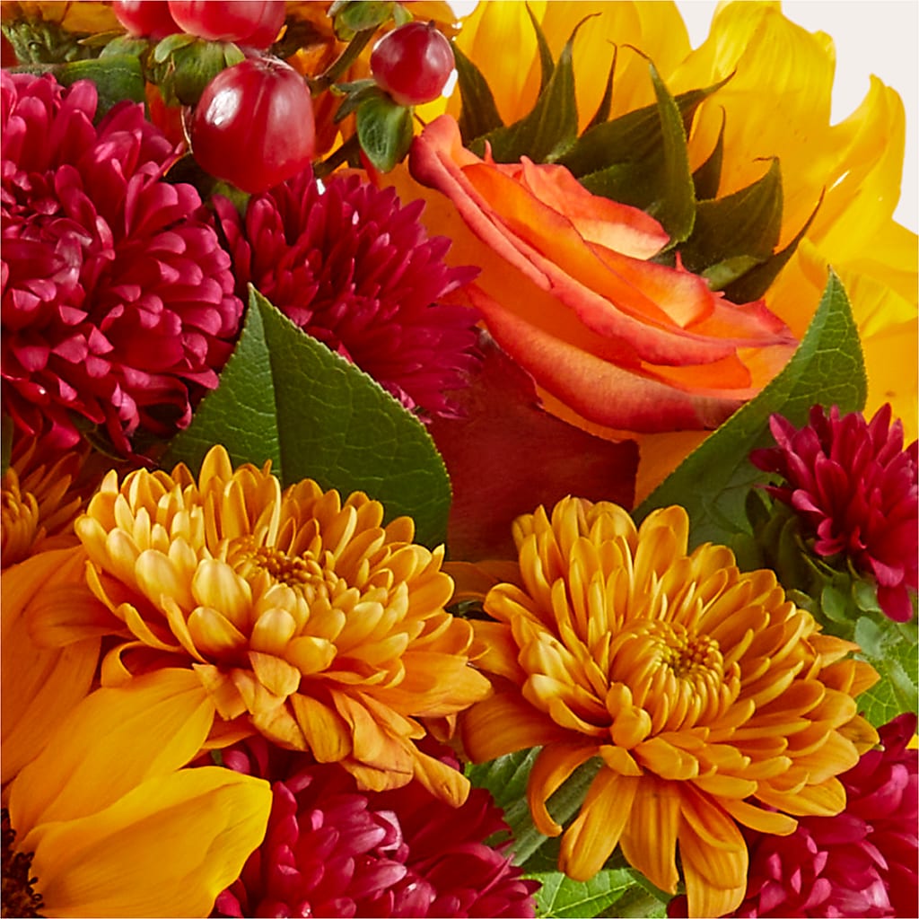 Sweater Season - A Florist Original –  Lulus Petals, Farmington NM