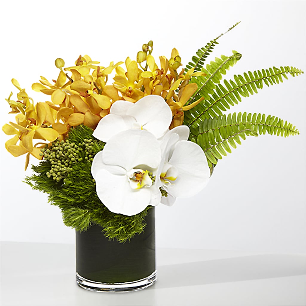 The Tropics –  Lulus Petals, Farmington NM