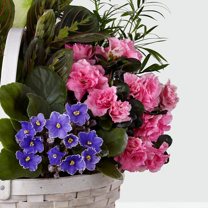Peaceful Garden Planter –  Lulus Petals, Farmington NM