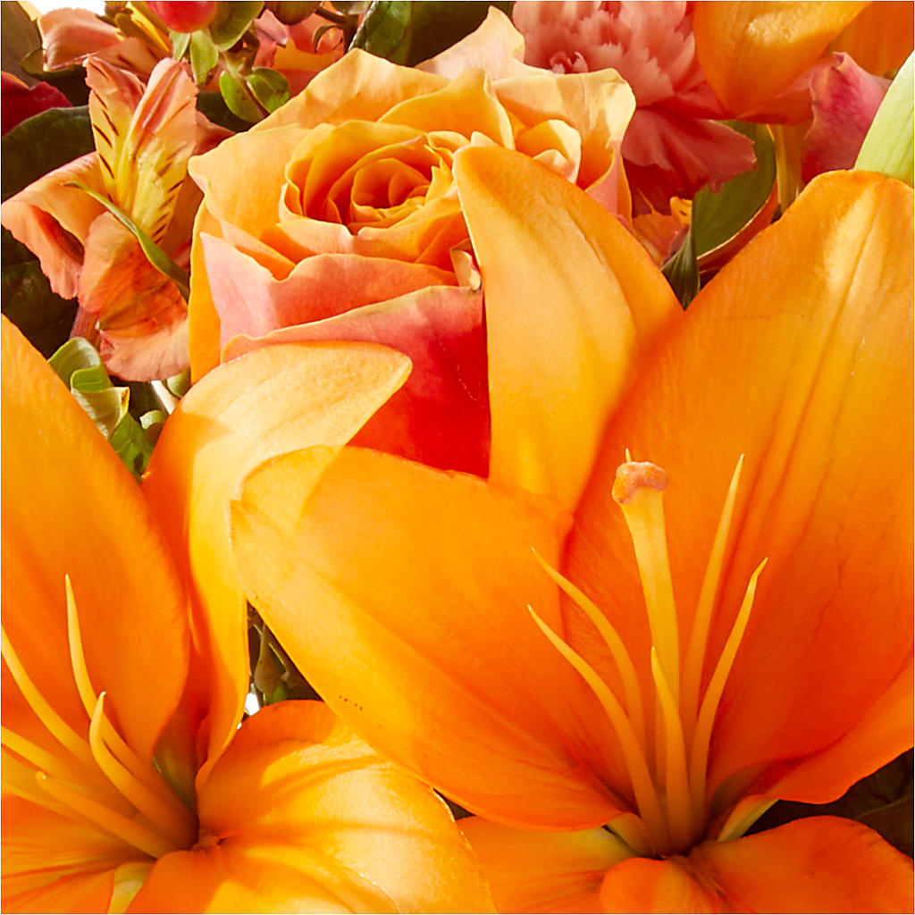 Afternoon Light Bouquet –  Lulus Petals, Farmington NM