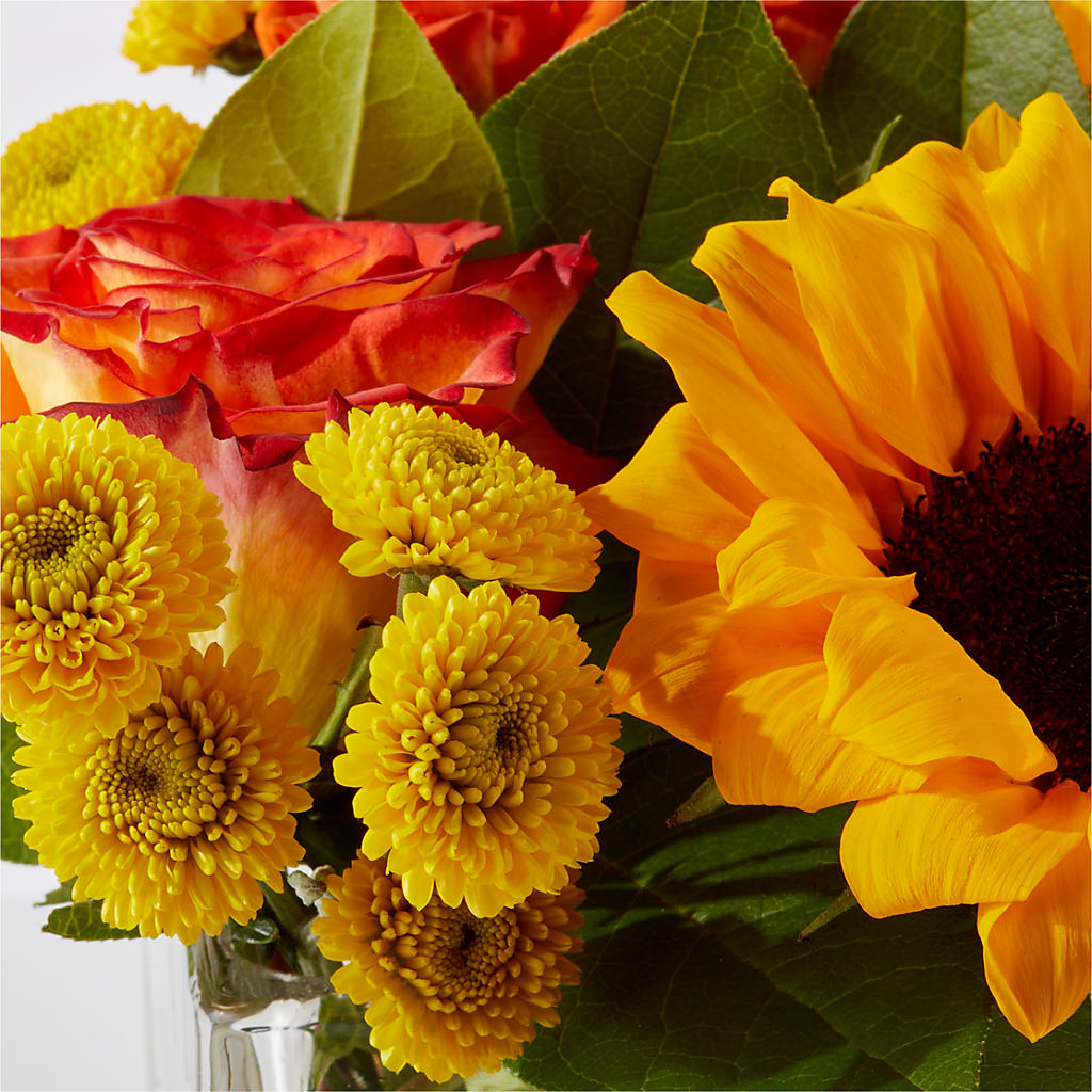 Picnic in the Park Bouquet –  Lulus Petals, Farmington NM