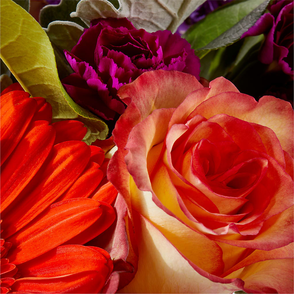 Sangria Bouquet –  Lulus Petals, Farmington NM