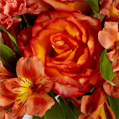 Apricot Glow Bouquet –  Lulus Petals, Farmington NM