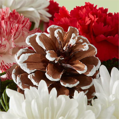 Candy Cane Lane Bouquet –  Lulus Petals, Farmington NM