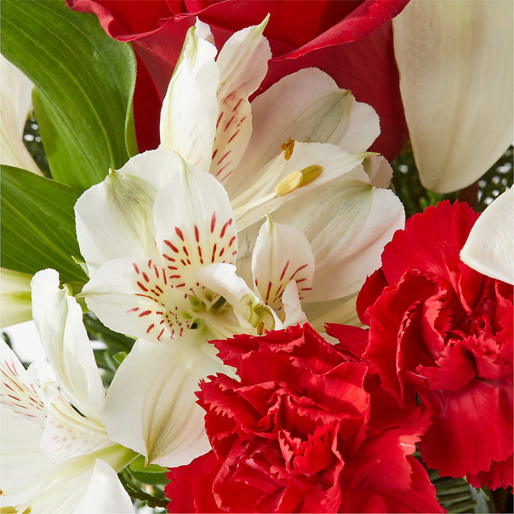 Holiday Season Bouquet –  Lulus Petals, Farmington NM