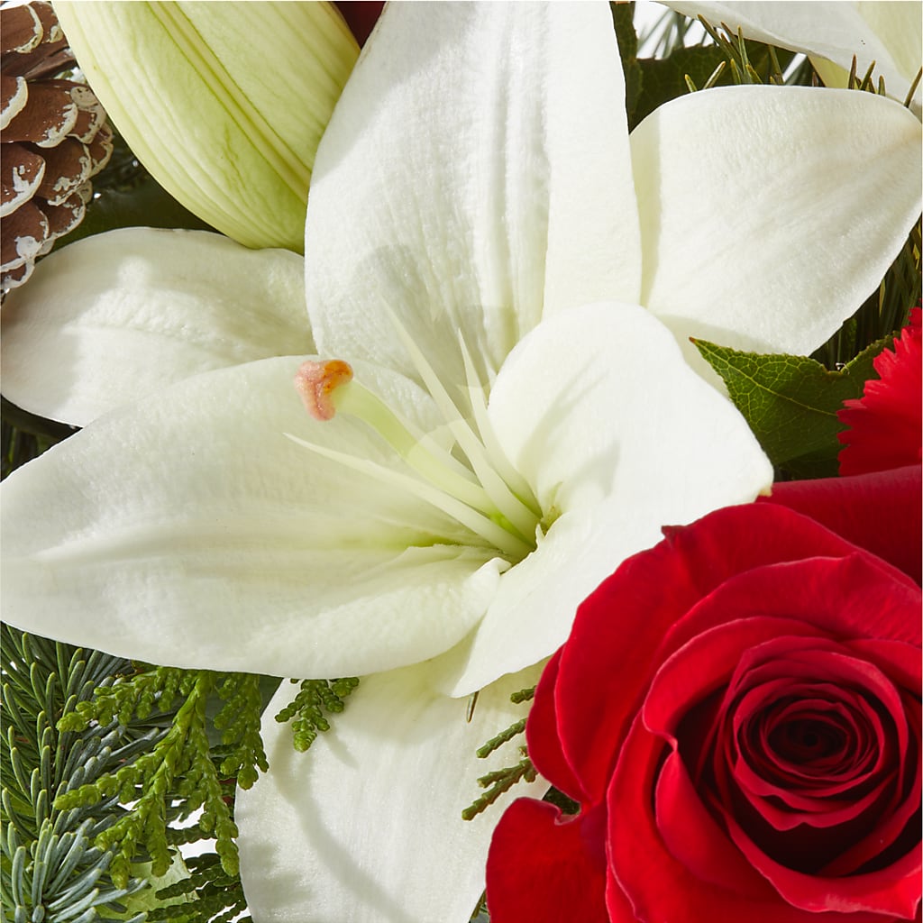 Oh So Jolly Bouquet –  Lulus Petals, Farmington NM