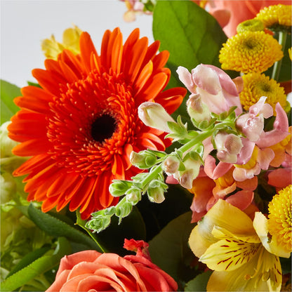 Autumn Sunshine Bouquet –  Lulus Petals, Farmington NM