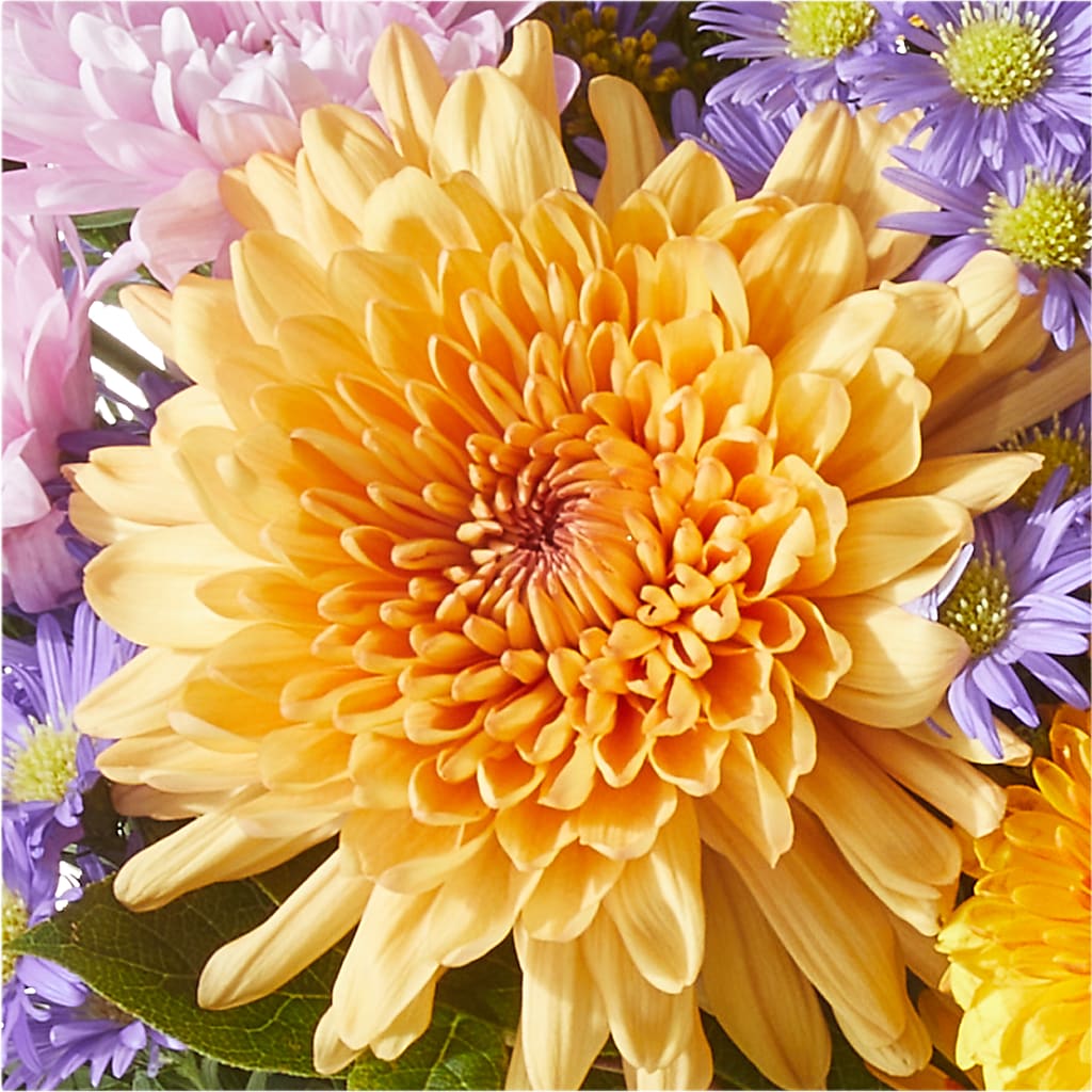 Countryside Bouquet –  Lulus Petals, Farmington NM