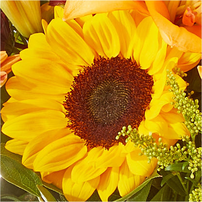 Seasons Change Bouquet –  Lulus Petals, Farmington NM