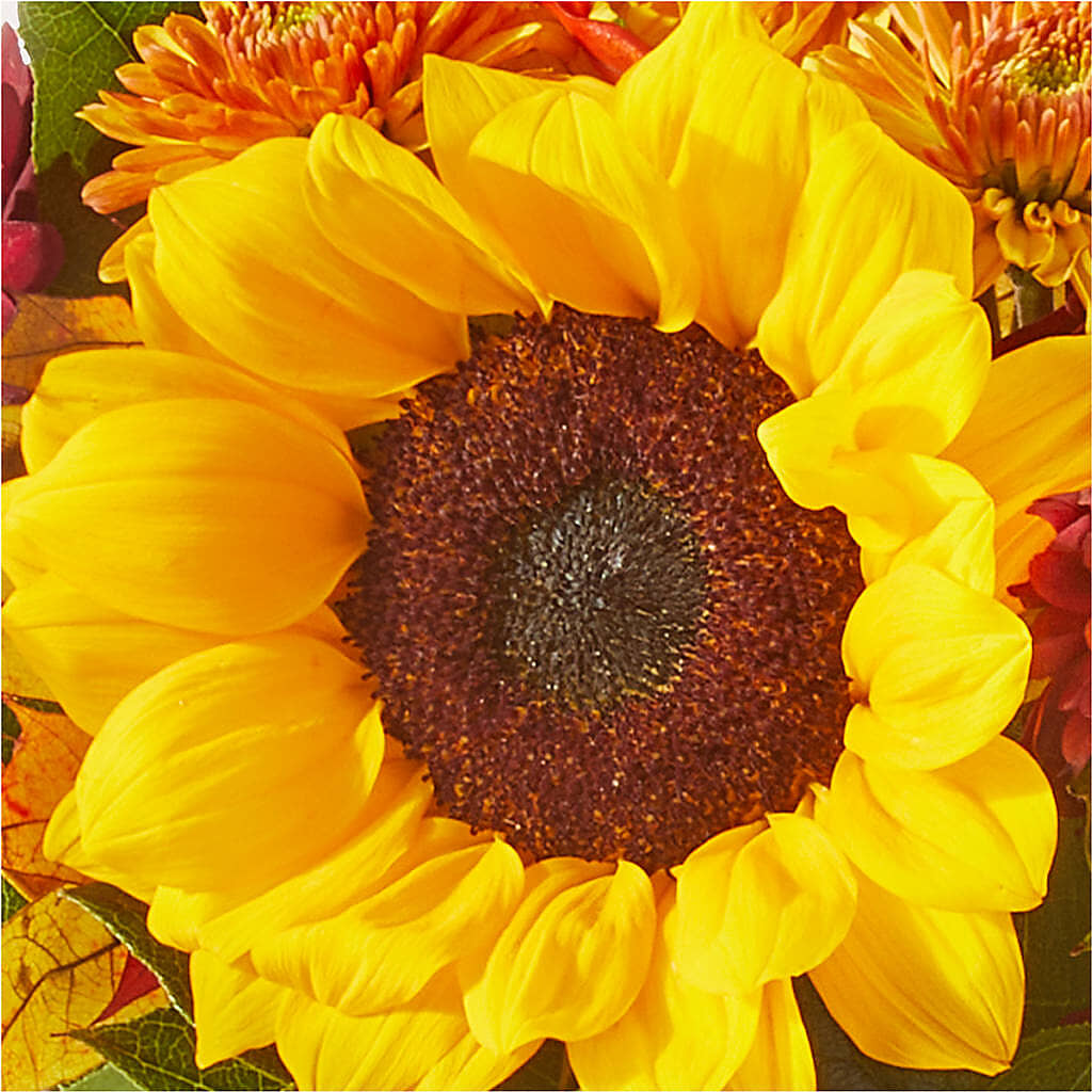 Sunny Side Bouquet –  Lulus Petals, Farmington NM