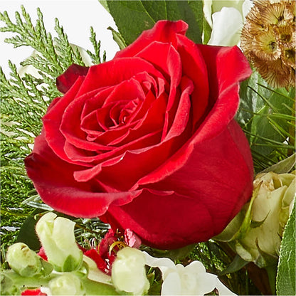 Deck the Halls Bouquet –  Lulus Petals, Farmington NM