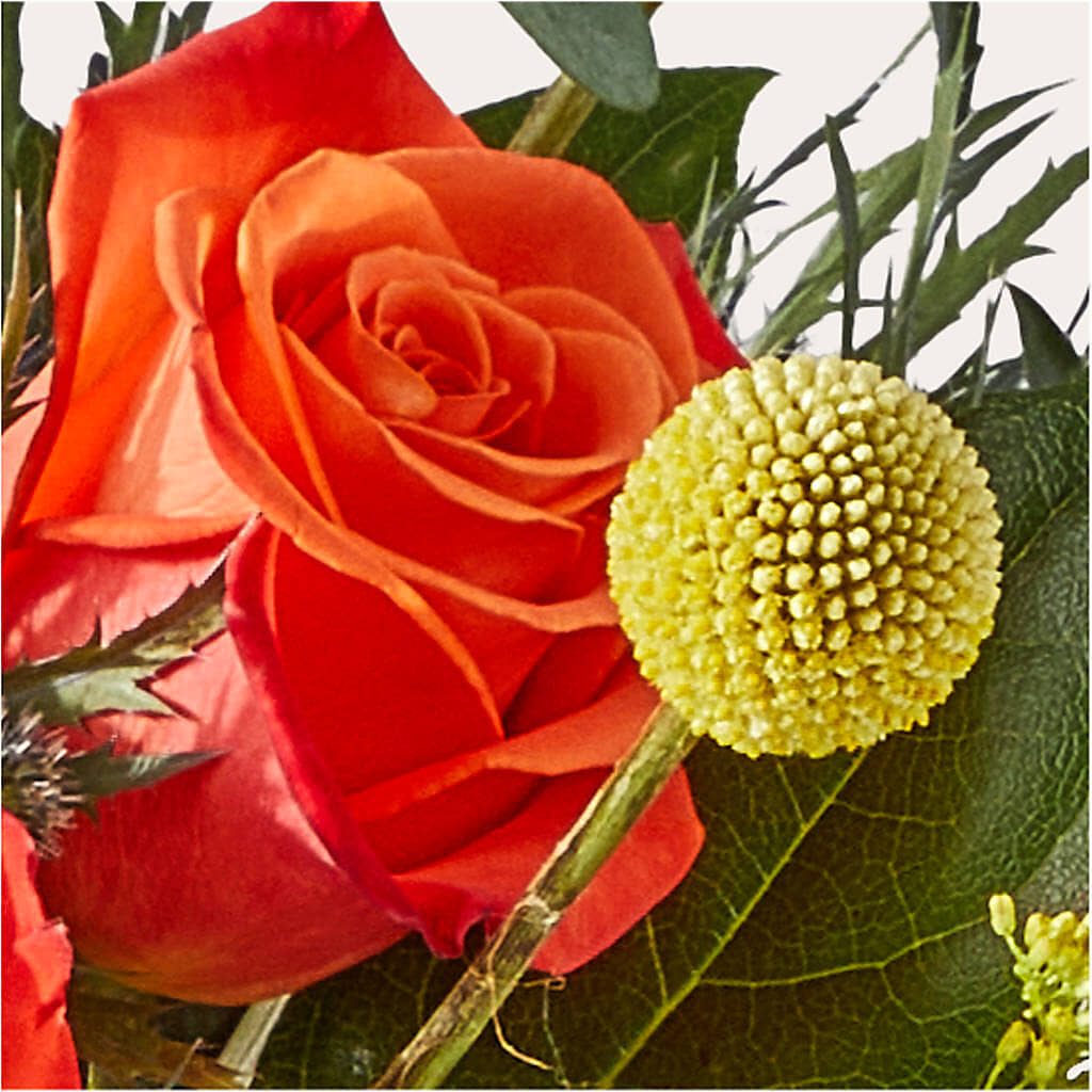 Disco Bouquet –  Lulus Petals, Farmington NM