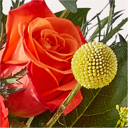 Disco Bouquet –  Lulus Petals, Farmington NM