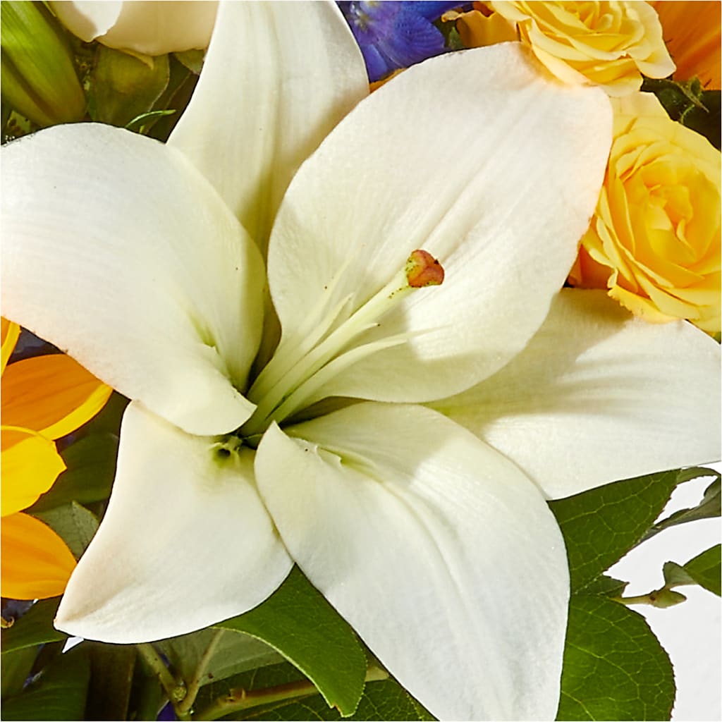 Wonderfully Sunny Bouquet –  Lulus Petals, Farmington NM