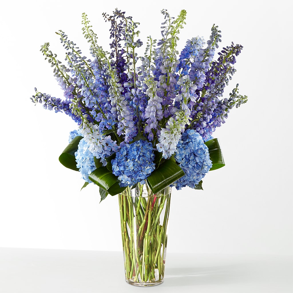The Editorial –  Lulus Petals, Farmington NM