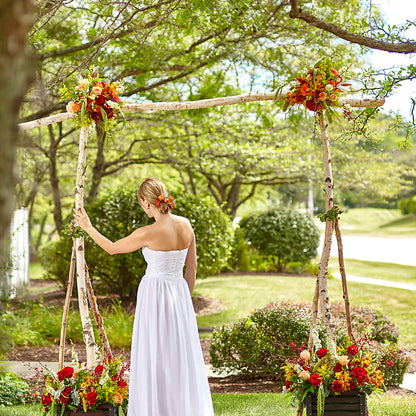 Arbor of Love Archway –  Lulus Petals, Farmington NM