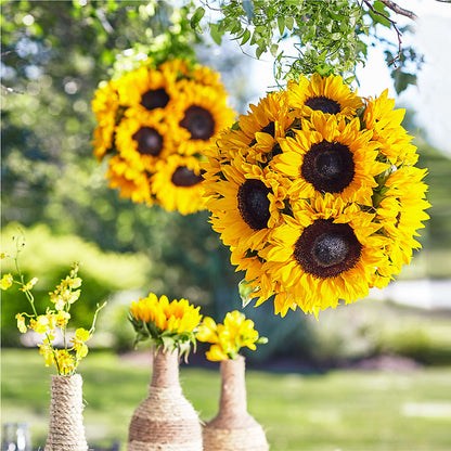 Sublime Garden Hanging Arrangement –  Lulus Petals, Farmington NM