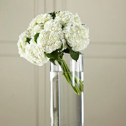 White Hydrangea Hand-Tied Bouquet –  Lulus Petals, Farmington NM