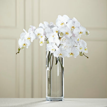 White Phalaenopsis Bouquet –  Lulus Petals, Farmington NM